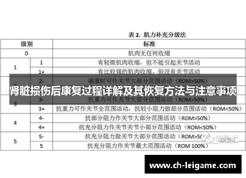 肾脏损伤后康复过程详解及其恢复方法与注意事项