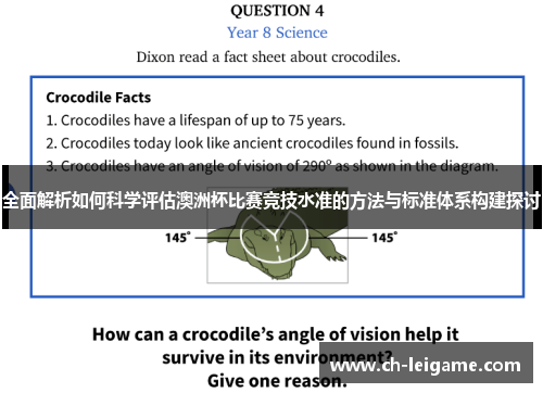 全面解析如何科学评估澳洲杯比赛竞技水准的方法与标准体系构建探讨
