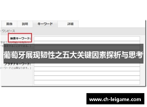 葡萄牙展现韧性之五大关键因素探析与思考