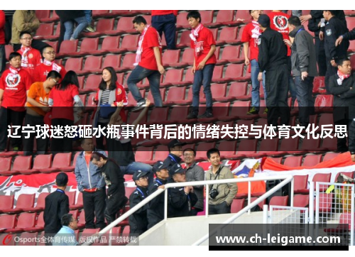 辽宁球迷怒砸水瓶事件背后的情绪失控与体育文化反思 辽宁球迷怒砸水瓶事件背后的情绪失控与体育文化反思