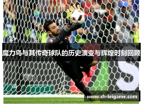 魔力鸟与其传奇球队的历史演变与辉煌时刻回顾